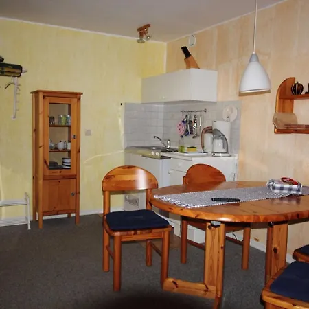 Blum 公寓 萨斯尼茨